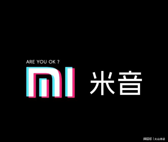 封雷总：我将拿出1000亿来创立“米音”j9九游会入口首页网友太会整活了！直播被(图1)